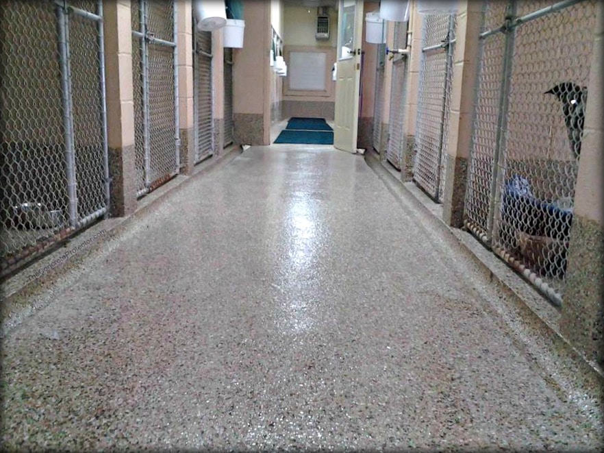 epoxy coating inside an animal shelter
